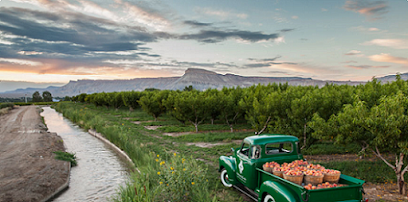 American AgCredit company image