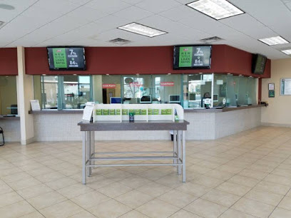 Rapid Cash company image