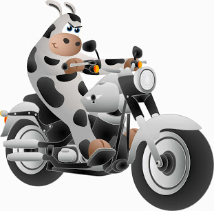 Moo Loans - Car Title Loans company image
