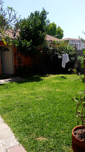 Wil Y Gra Check Cashing company image