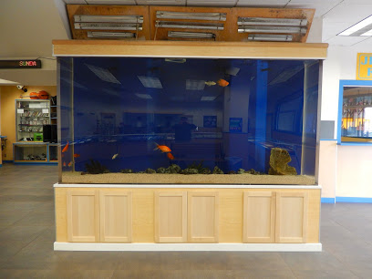 Big C Jewelry & Loan company image