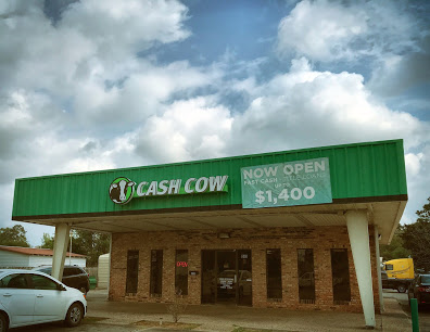 Cash Cow company image