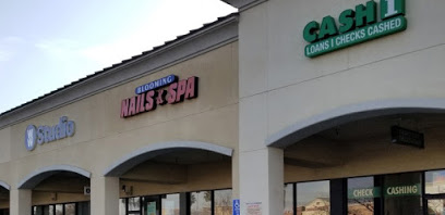 West Coast Cash company image