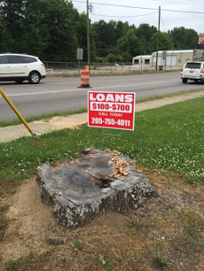 Service Loans company image
