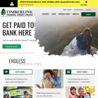 company website screenshot