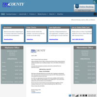 company website screenshot