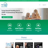 company website screenshot