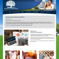 company website screenshot